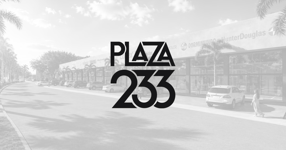 Plaza 233, locales comerciales en renta en Puerto Vallarta